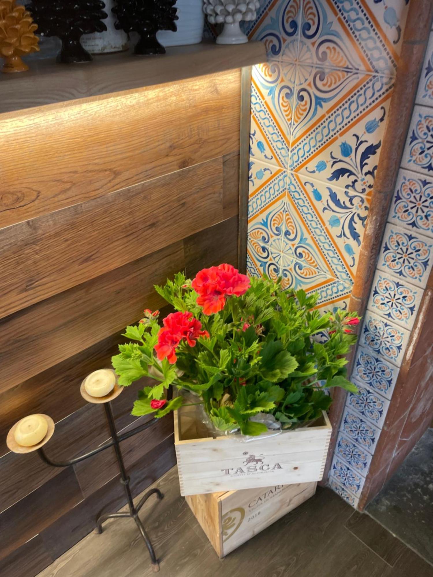 Ai Dammusi Rooms 산비토로카포 외부 사진
